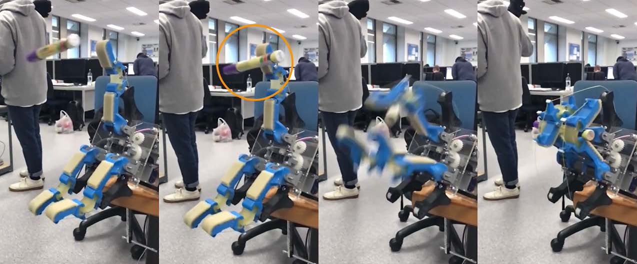 Aerial Grasping System
